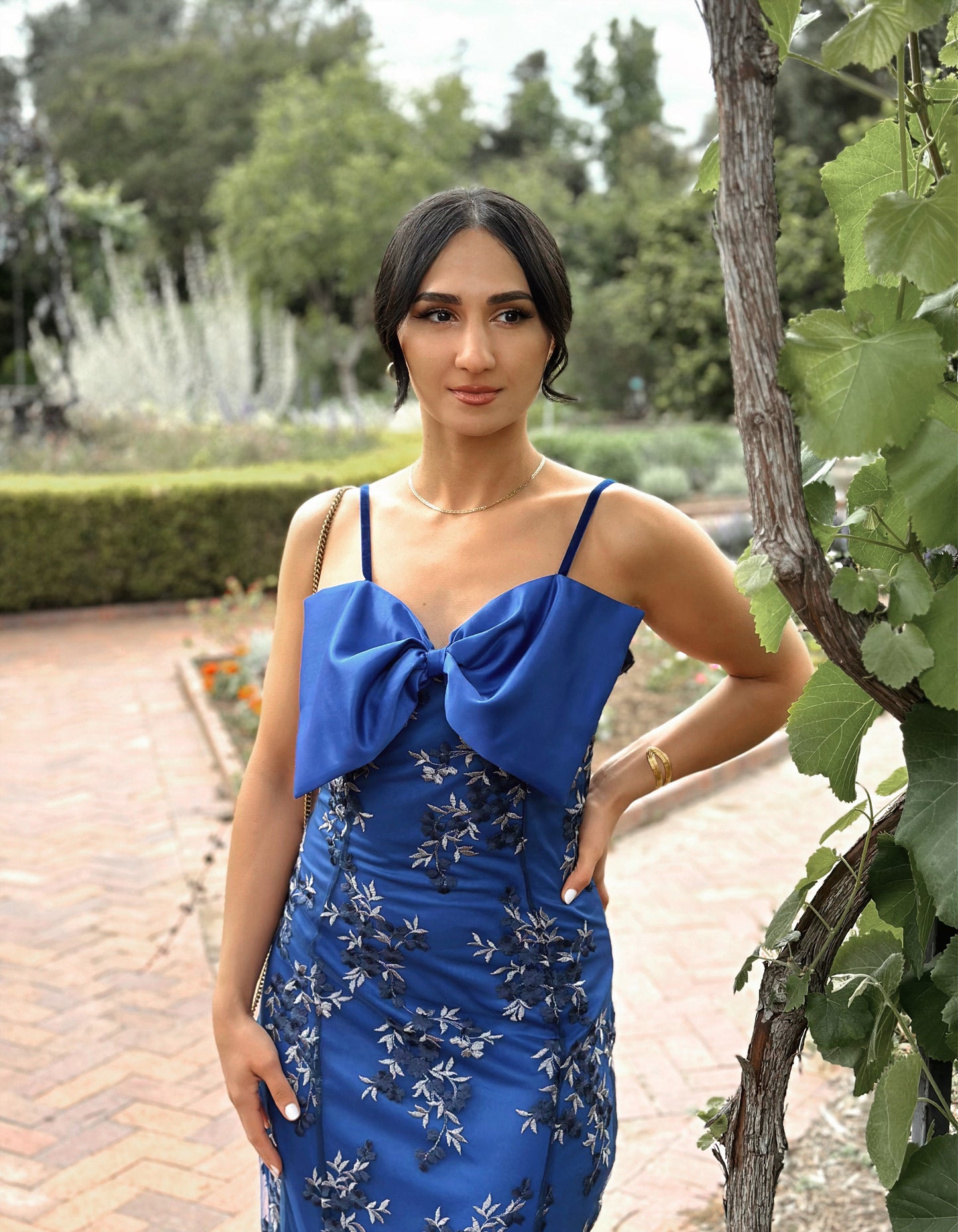 Sapphire Bow Embroidered Maxi